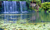 Waterfall | Mission Inn Resort and Club