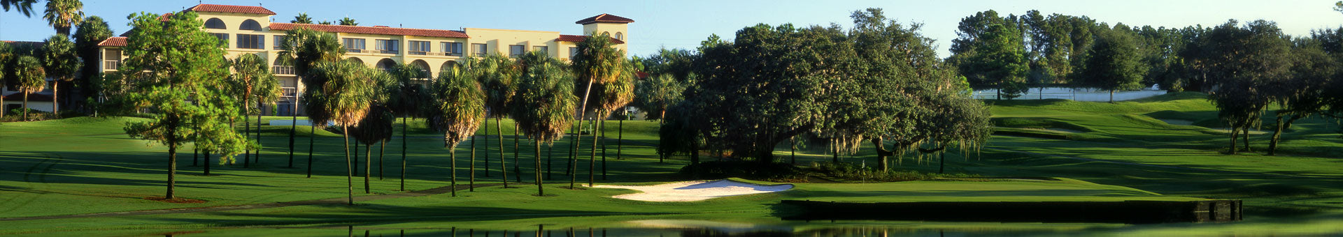 This is a caption of text that tells you something about the banner.